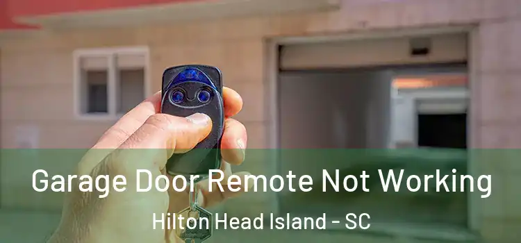  Garage Door Remote Not Working Hilton Head Island - SC