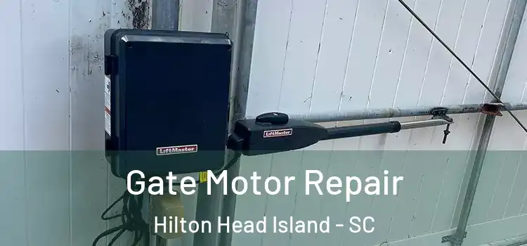 Gate Motor Repair Hilton Head Island - SC